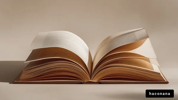 開いた本の美しさ