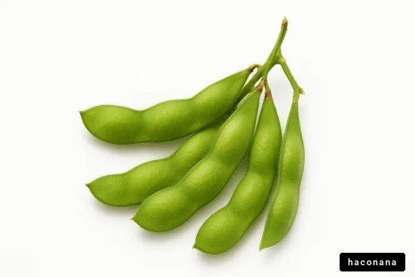 新鮮な枝豆の写真