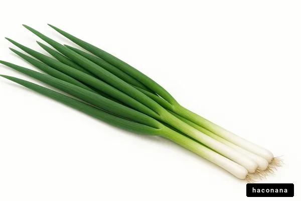 新鮮なネギの束