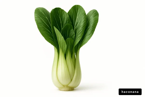 美味しそうな青梗菜