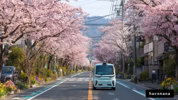 桜並木の美しい街並み