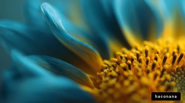 青い花の美しいマクロ