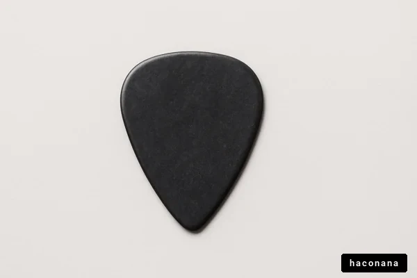 黒いギターピックの画像