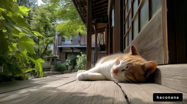 和風の猫と静かな庭