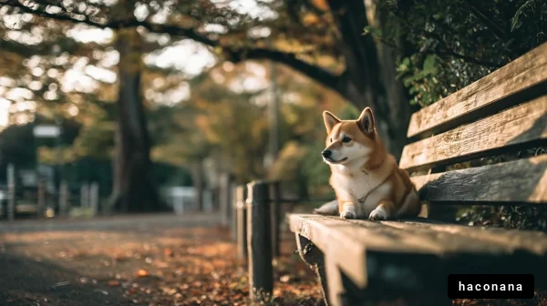 秋の公園でくつろぐ犬
