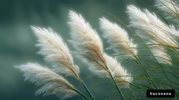 穏やかな草原の風景
