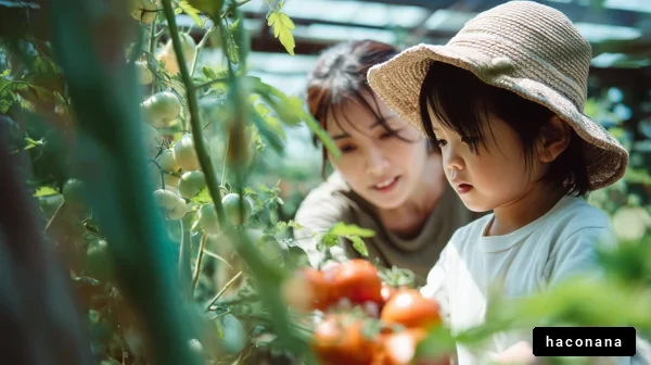 親子で楽しむトマト収穫