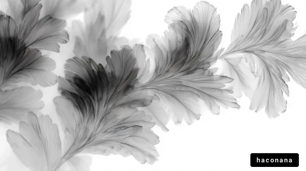 白黒の抽象的な模様