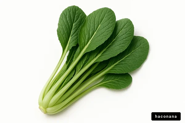 新鮮な青菜の束