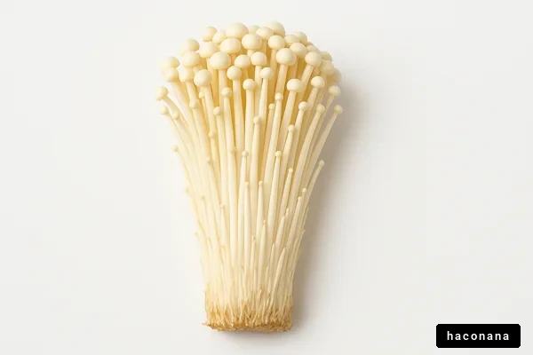 白いきのこの束