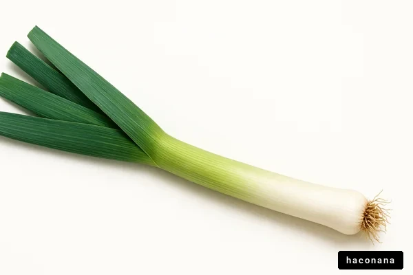 新鮮なネギの画像