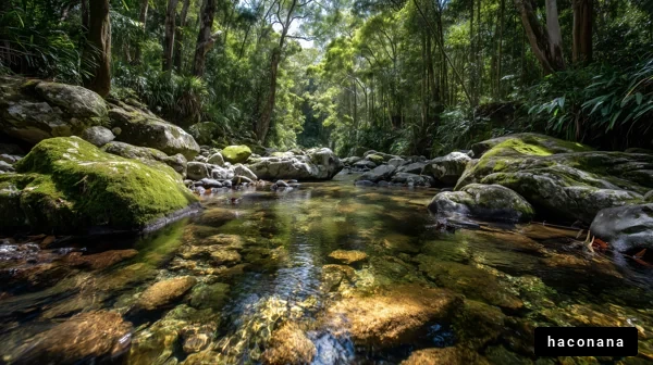 緑あふれる清流の風景