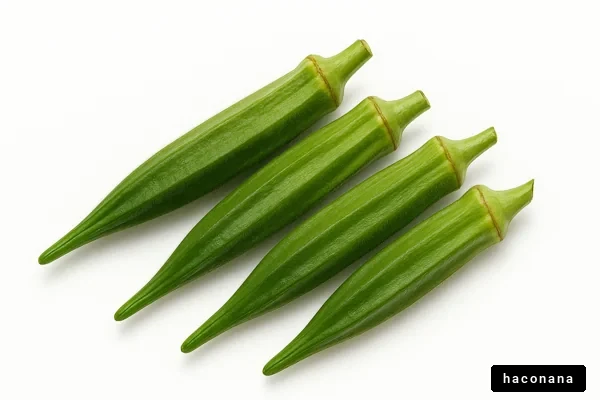新鮮なオクラの集合