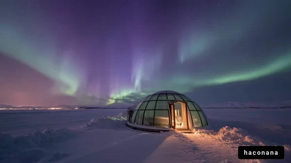 幻想的なオーロラの夜景