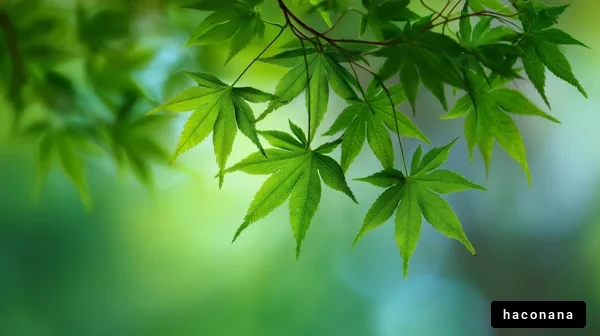 緑豊かな葉の風景