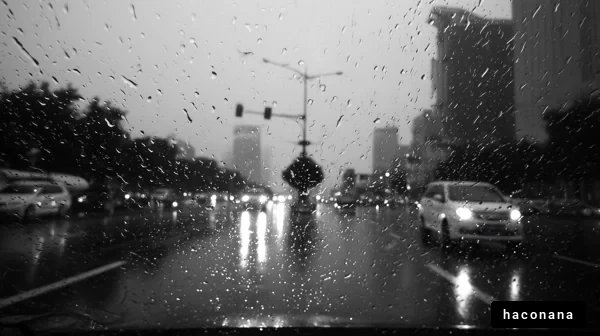 雨の中の都市風景