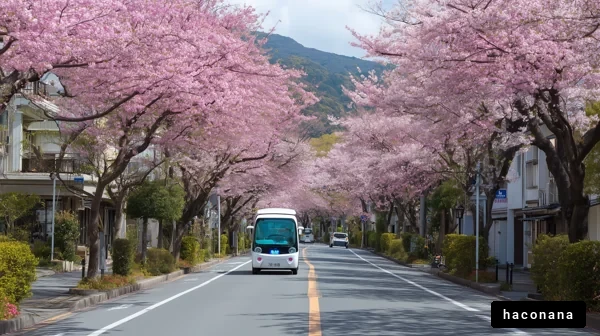 桜の並木道を走る車