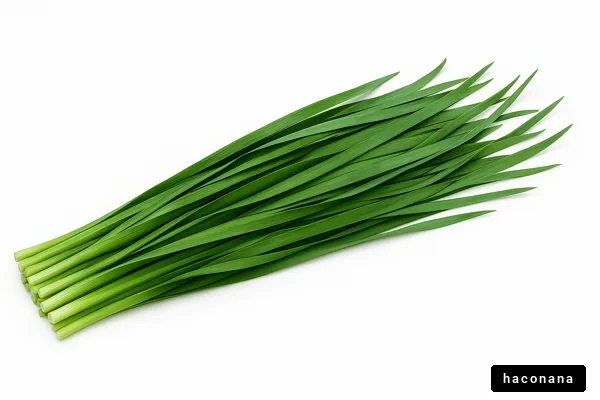 新鮮な青ネギの束