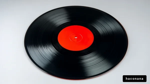 レコード盤のシンプルな美