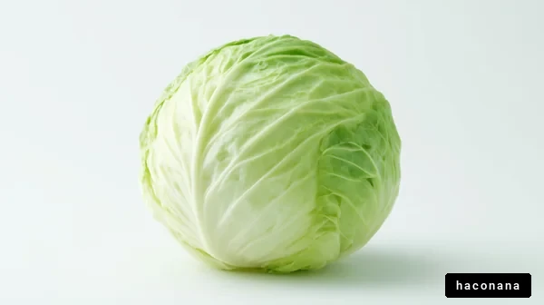 新鮮なキャベツの写真