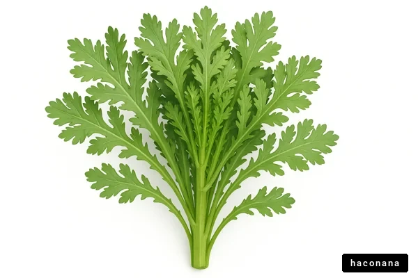 フレッシュな緑の葉野菜