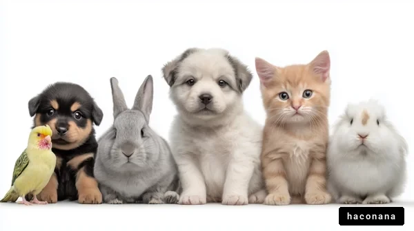 可愛いペットたちの集合