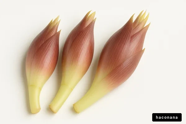 美しい野菜の花穂