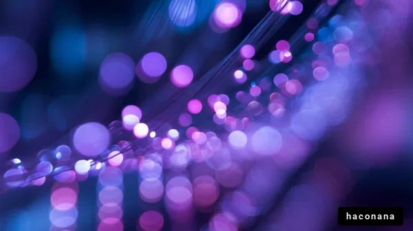 幻想的な光の演出