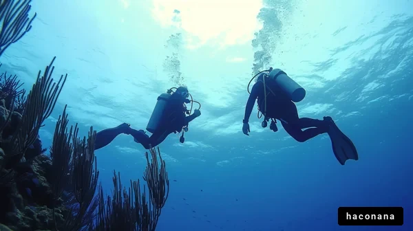 ダイビングの楽しさ