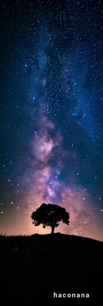 宇宙と木のシルエット