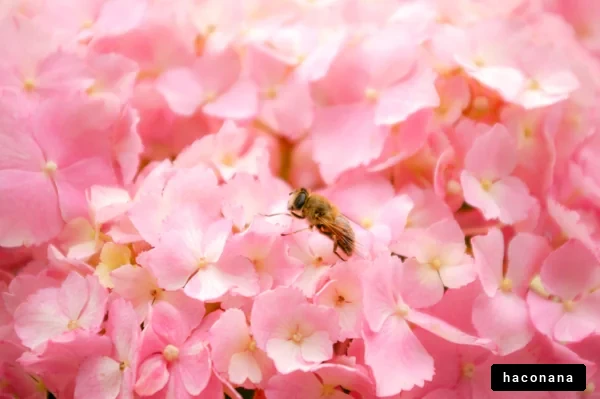 ピンクの花と蜜蜂の風景