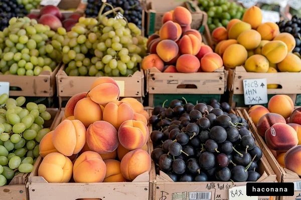 鮮やかな果物の市場