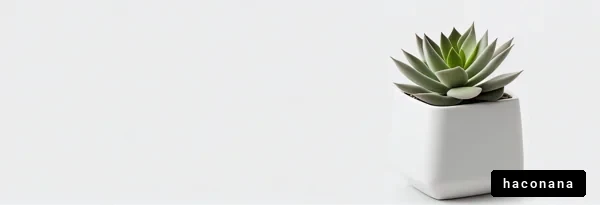 モダンな観葉植物の写真