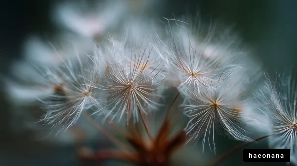 繊細な植物の花