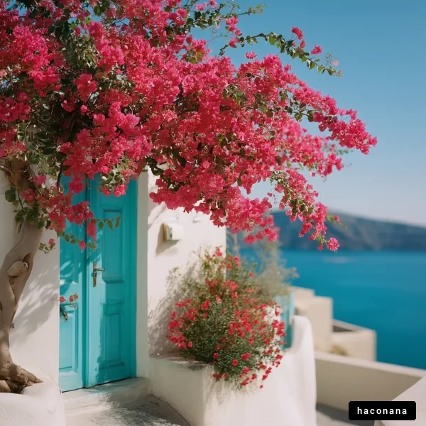 美しい青い扉と花