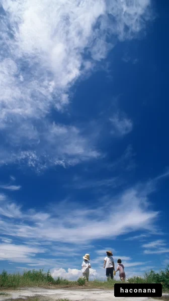 青空の下での家族散歩