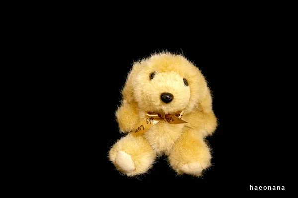 かわいい犬のぬいぐるみ