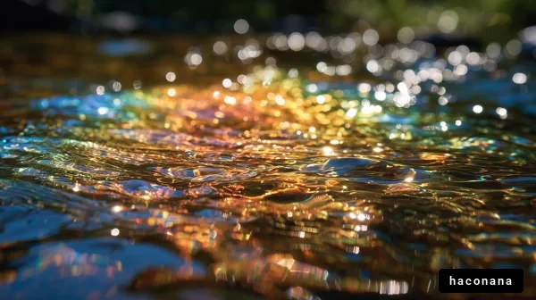 水面の美しい反射