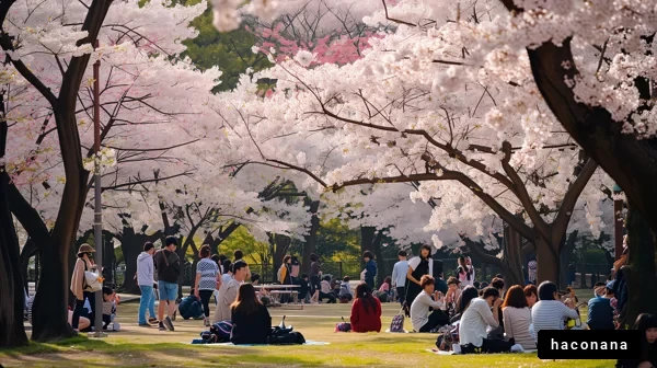 桜の下で楽しむ人々