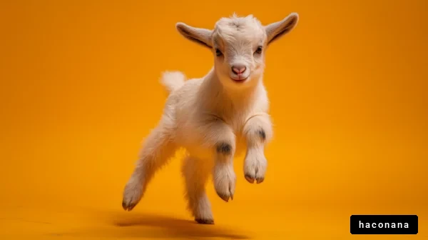 元気にジャンプする子ヤギ