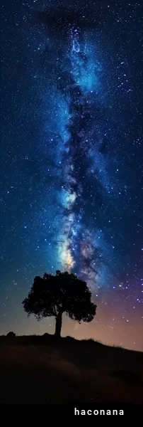 美しい星空と木のシルエット