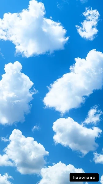 青空に浮かぶ雲