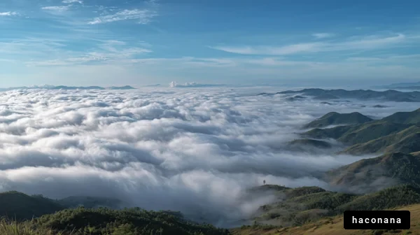 雲海に広がる大自然の景色