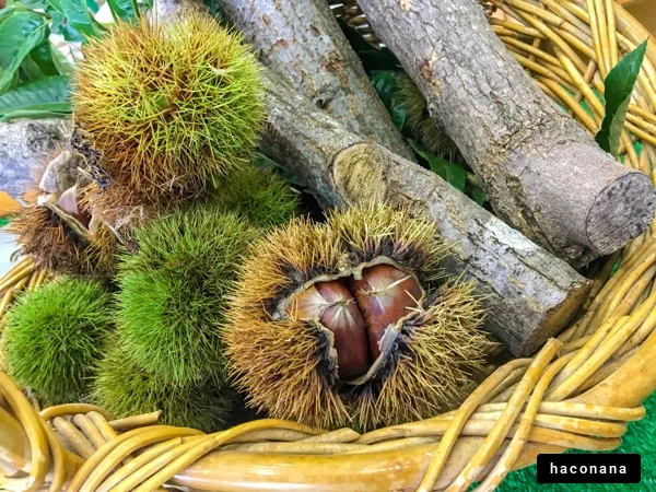 栗と木の実のバスケット