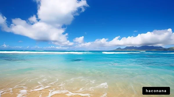 美しい海の風景