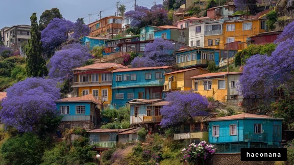 色とりどりの家々とジャカランダ