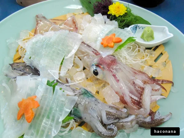 新鮮な海鮮刺身プレート