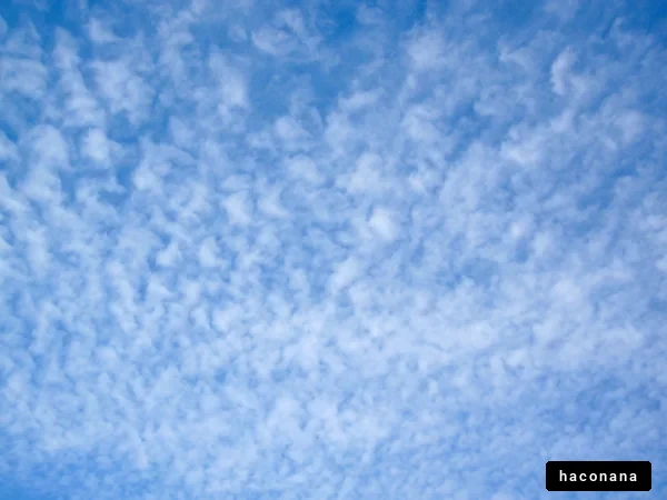 青空に広がる雲