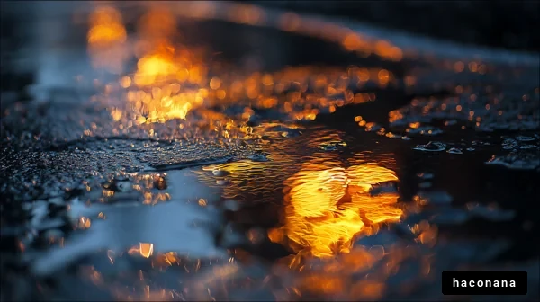 水面に映る夕陽の光
