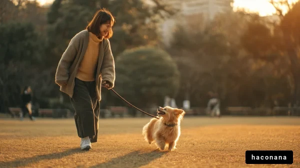 公園で犬と散歩する女性